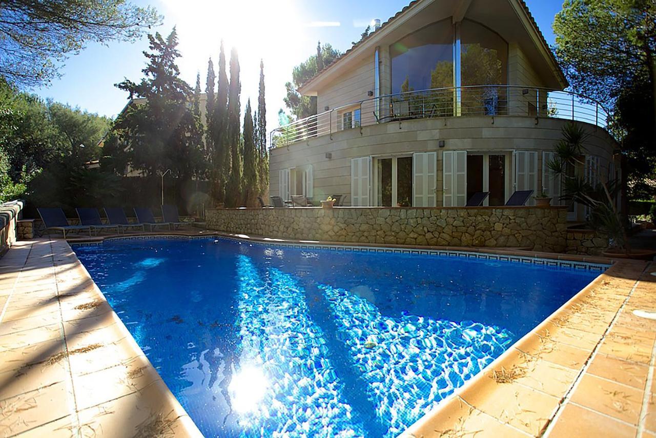 Villa Narcis Villa *